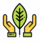 icon 4